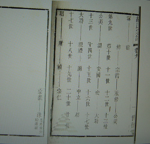 几乎所有华林胡氏族谱都记载,胡安国属于华林五宗胡瑜支系,非琼公支系